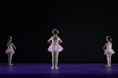 08-DIANA-BALLET01