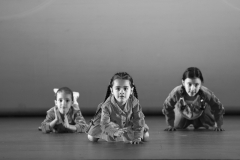 RFotoArt-20260117125513-_RF93142