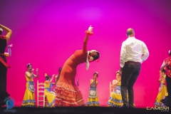 DanceFactory_Camovi0606