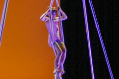 16-NORAH-V-TELAS-INF01