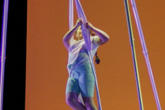 16-NORAH-V-TELAS-INF02