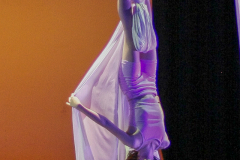 16-NORAH-V-TELAS-INF04