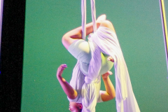 16-NORAH-V-TELAS-INF06