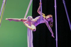 16-NORAH-V-TELAS-INF07