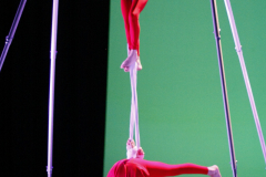 16-NORAH-V-TELAS-INF15