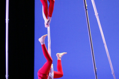 16-NORAH-V-TELAS-INF16